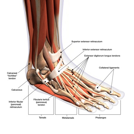 Ankle and Foot Injuries in Gymnastics - A Complete Guide